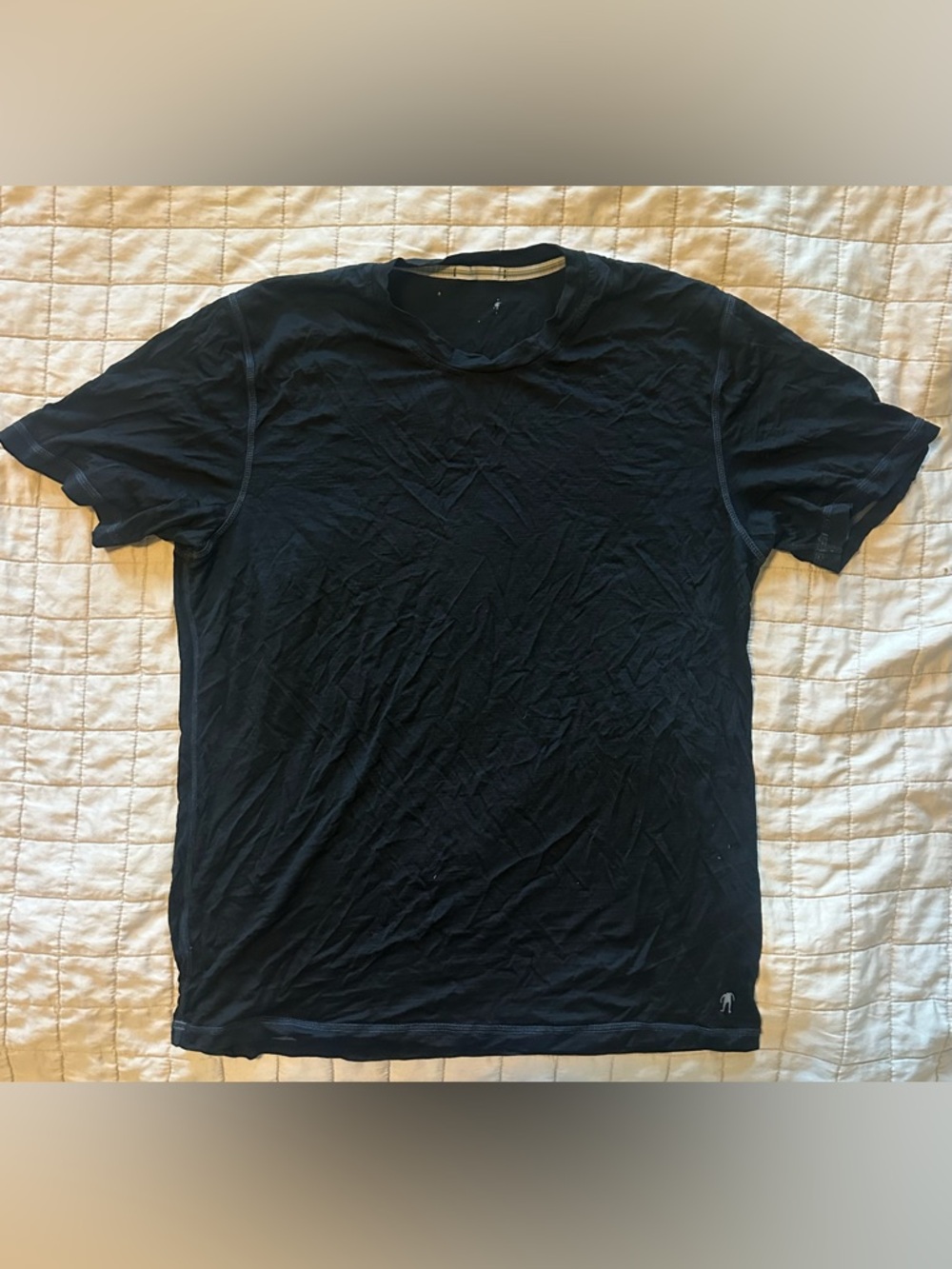 Smartwool T-shirt 150g weight